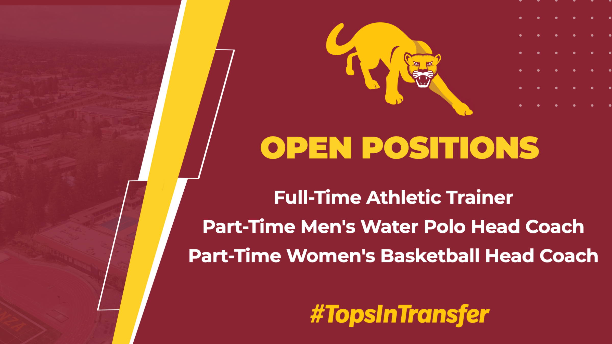 Women's Basketball Head Coaching Search