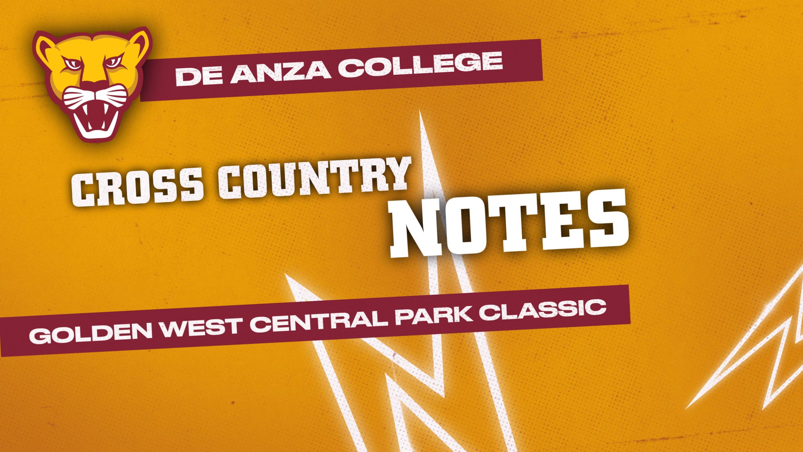 Lions Post Strong Team Finishes At Central Park Classic